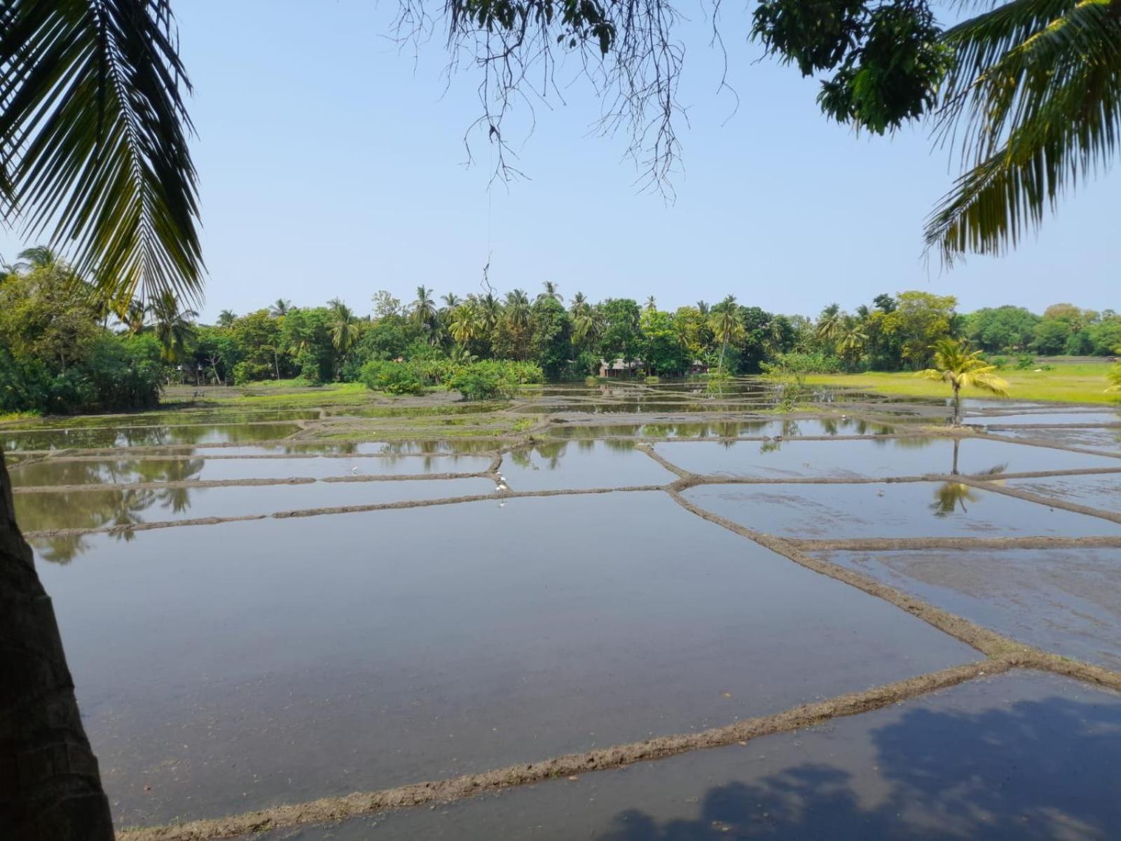 Man Guest Polonnaruwa Hotel Екстериор снимка