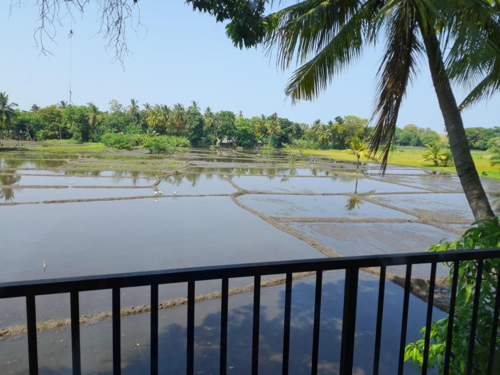 Man Guest Polonnaruwa Hotel Екстериор снимка